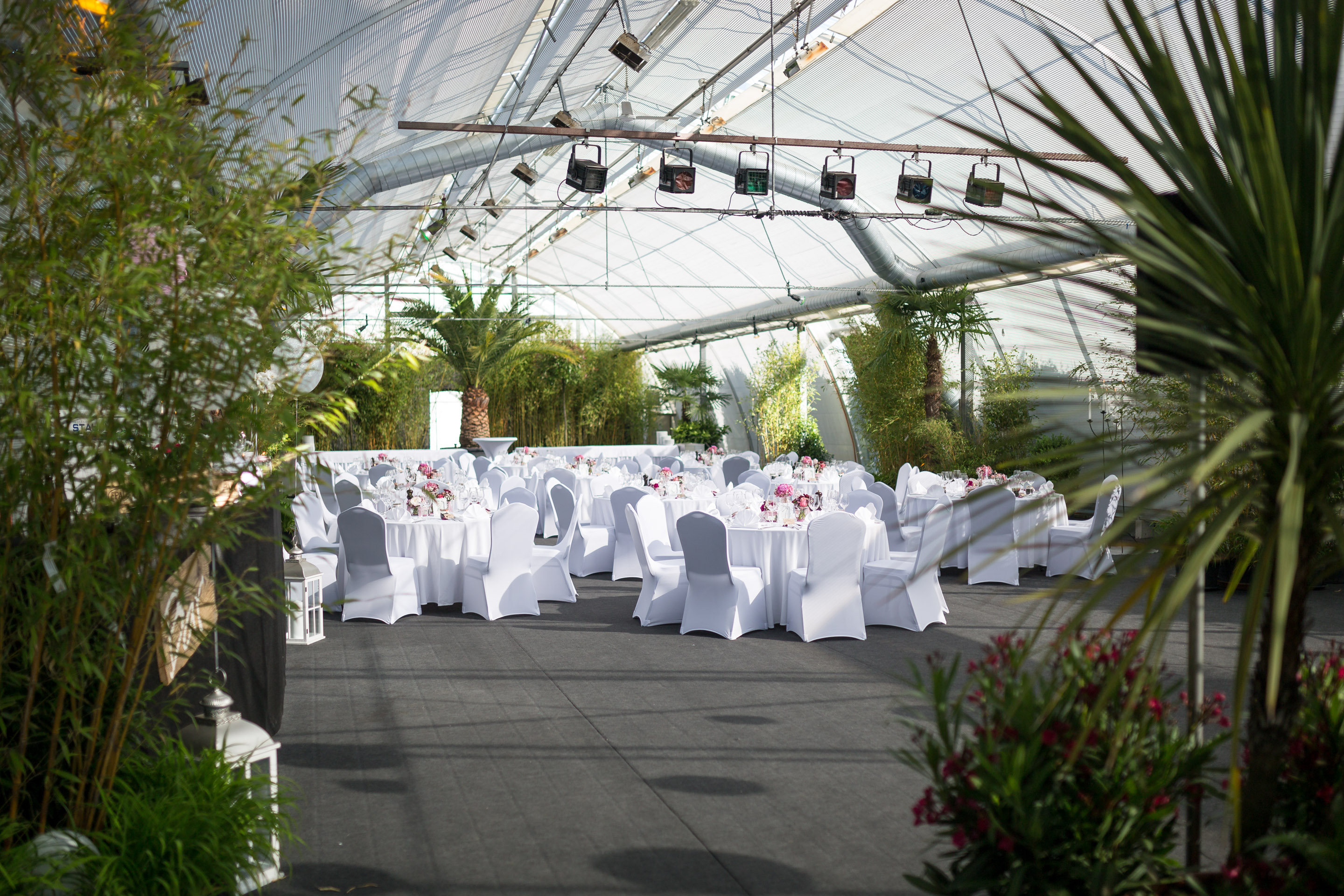 Hochzeit Corinne und Marius — Frame 52