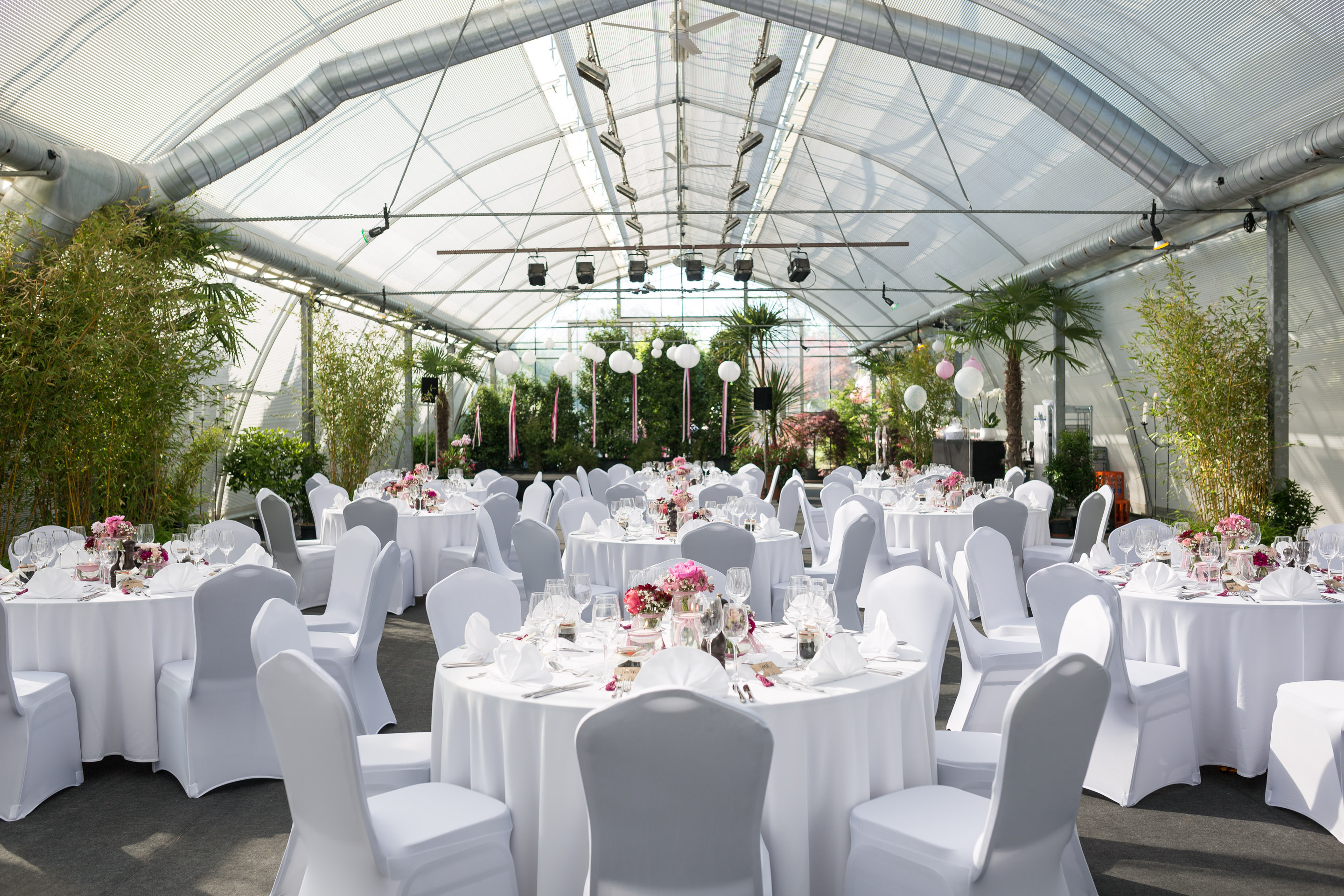 Hochzeit Corinne und Marius — Frame 50