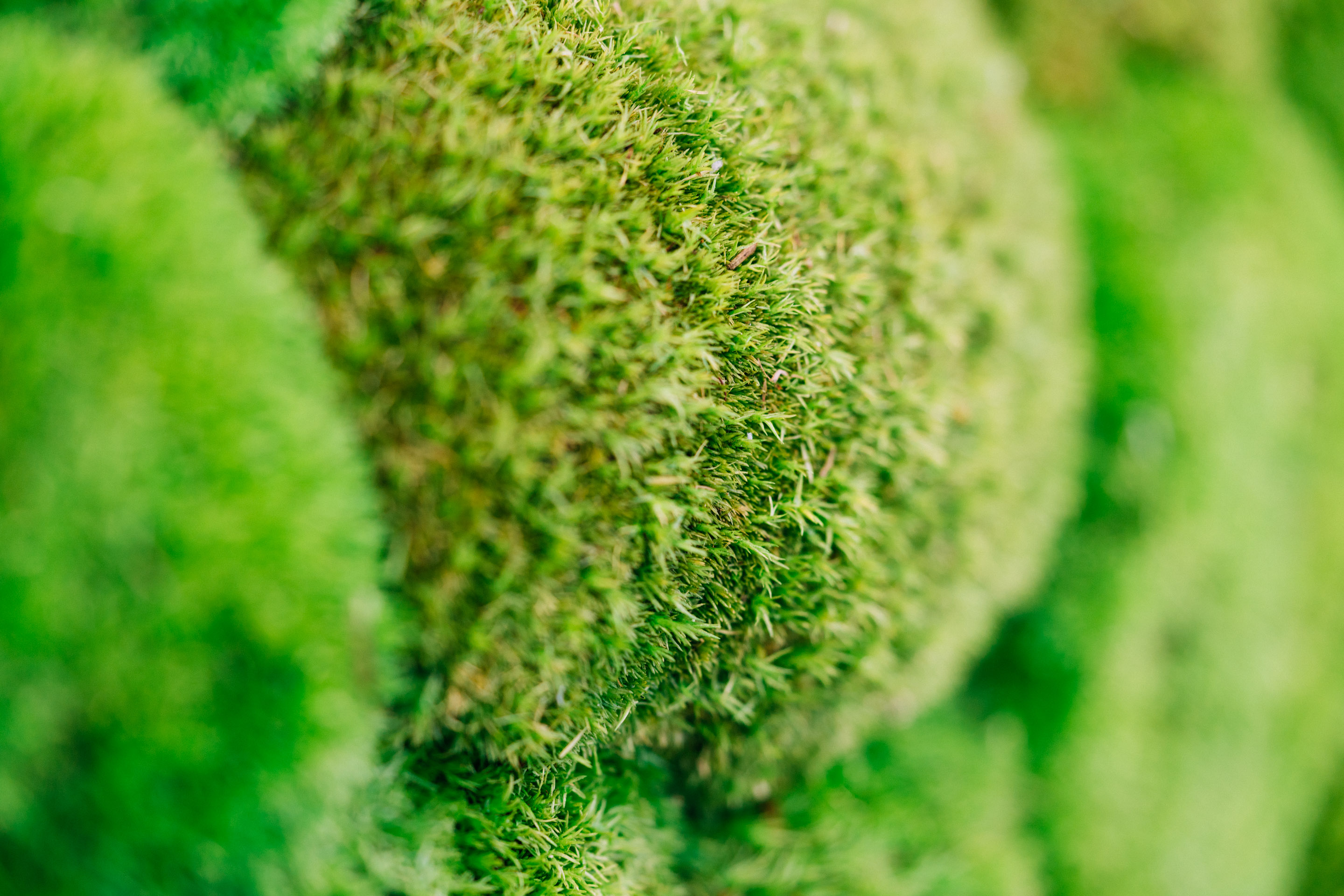 Eröffnung Zahnarztpraxis Schumacher in Malters — Frame 32