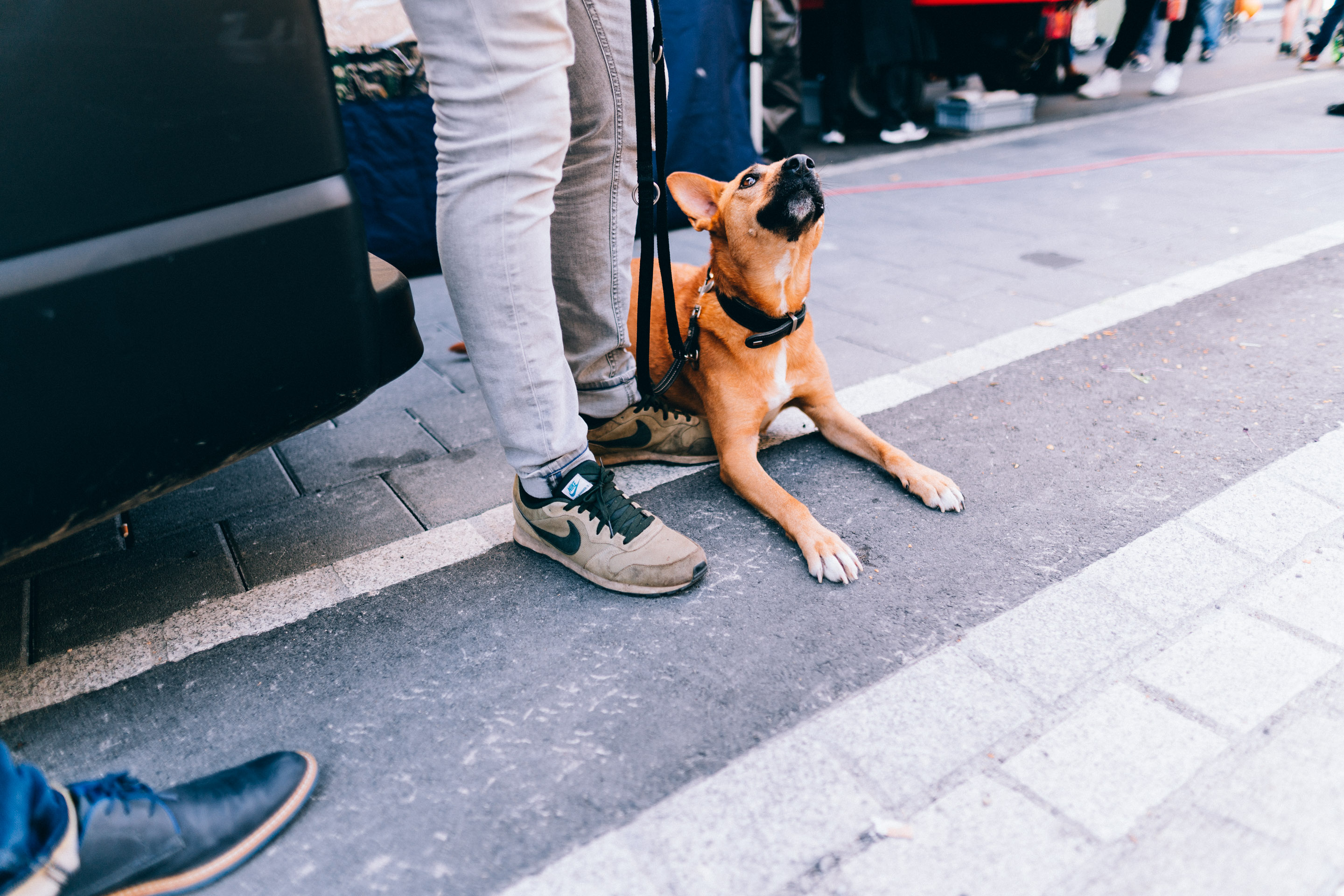 Eröffnung Zahnarztpraxis Schumacher in Malters — Frame 39