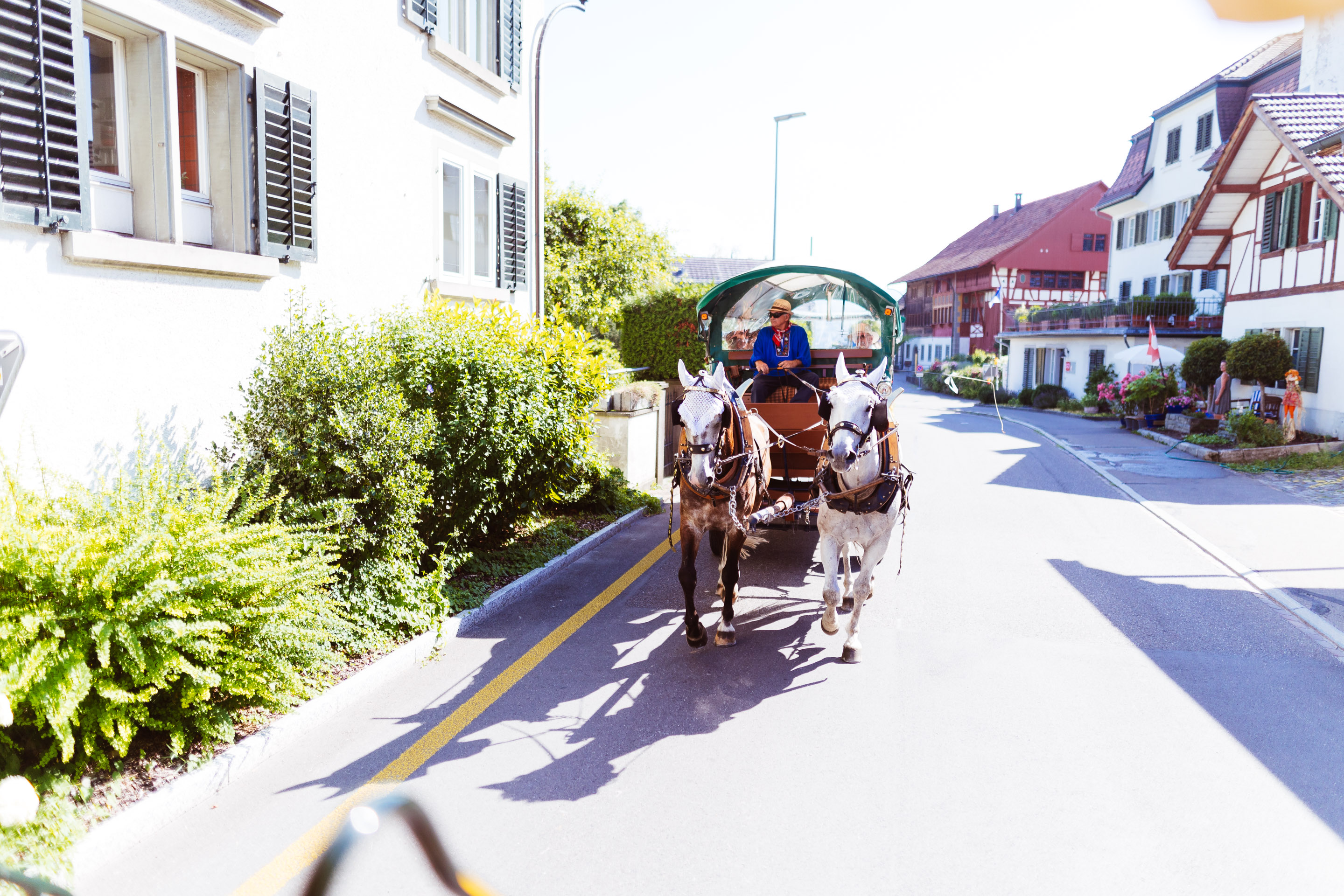 Hochzeit Rahel und Claudio — Frame 38